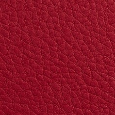 GMUND LEATHER LIPSTICK