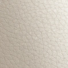GMUND LEATHER COIN