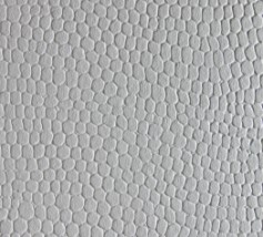 CONSTELLATION SNOW E53 LIZARD