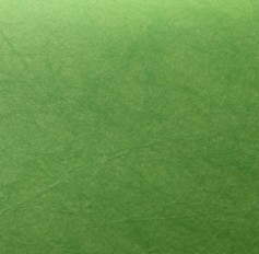 TWIST GREEN